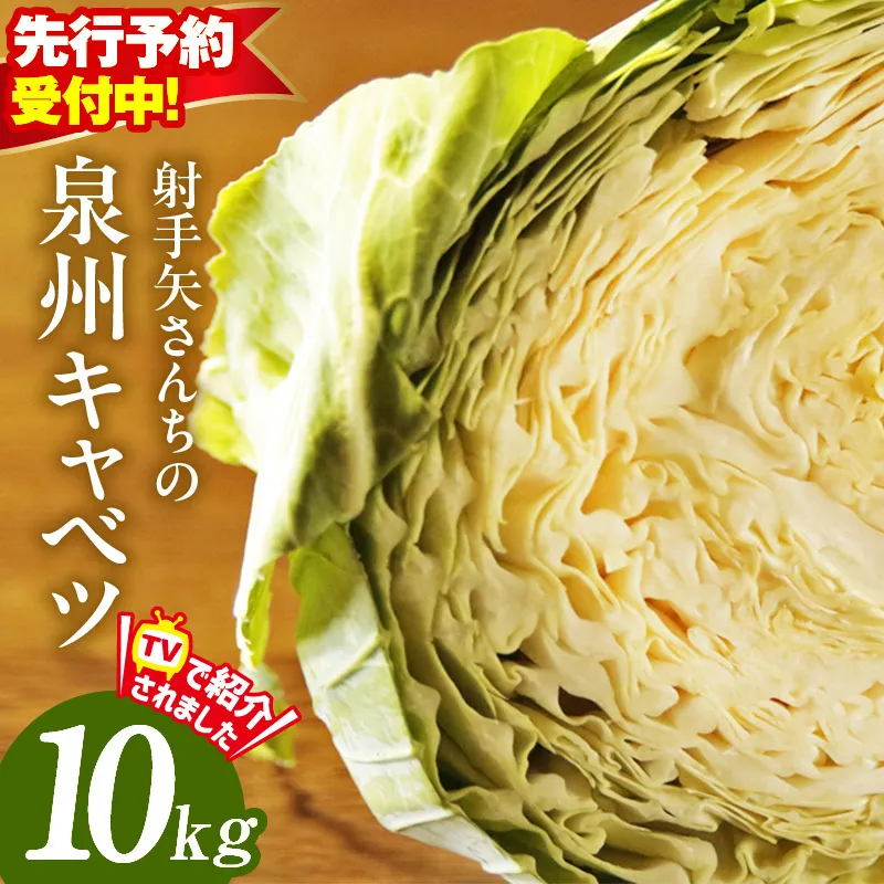 【先行予約】射手矢さんちの泉州キャベツ 10kg【新鮮 野菜 泉佐野産 やさい 射手矢農園 高評価 数量限定 TVで紹介！】 G3668