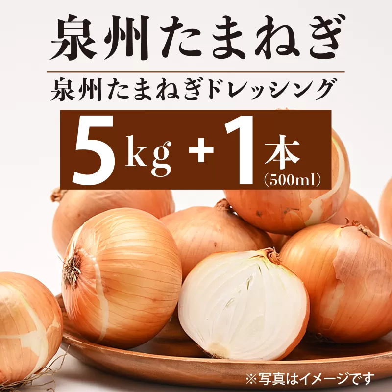 射手矢さんちの泉州たまねぎ 5kgとドレッシング 500ml×1本【玉ねぎ タマネギ 玉葱 甘い 野菜 国産 期間限定 オニオン スライス サラダ カレー シチュー バーベキュー BBQ 肉じゃが】 G1302