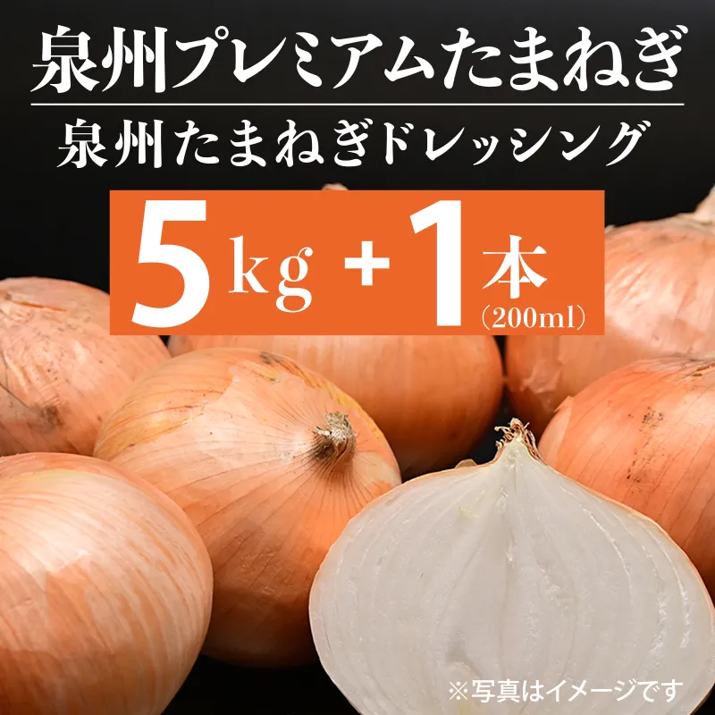 射手矢さんちの泉州プレミアムたまねぎ5kgとドレッシング 200ml×1本【玉ねぎ タマネギ 玉葱 甘い 野菜 国産 期間限定 オニオン スライス サラダ カレー シチュー バーベキュー BBQ 肉じゃが】 G1319