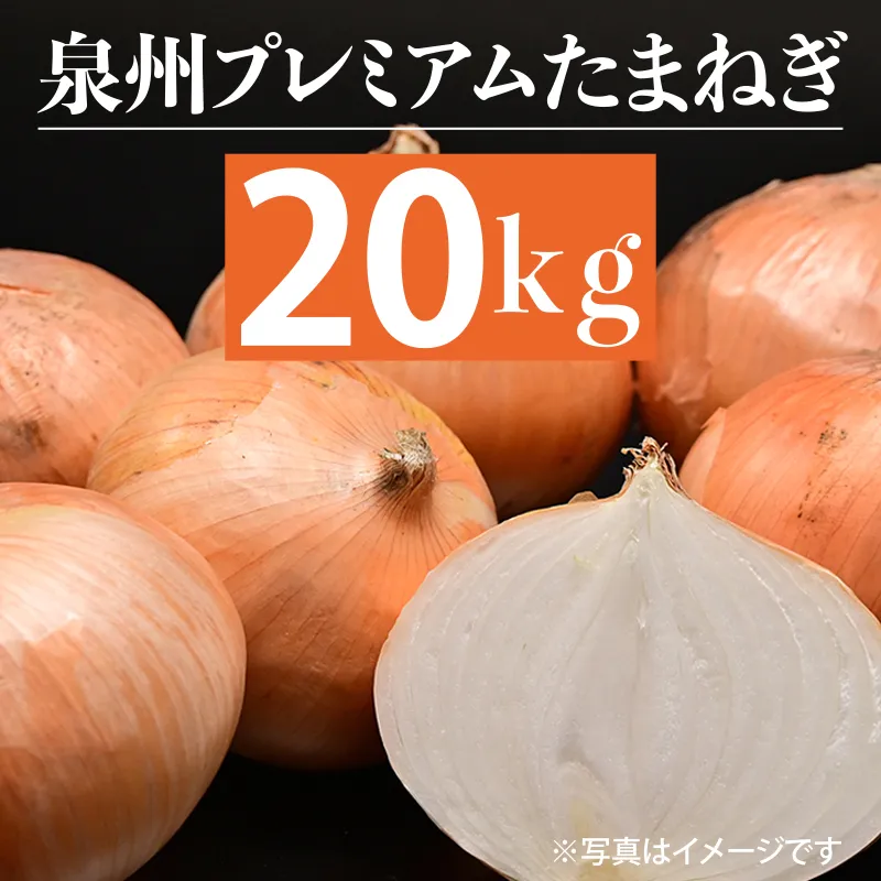 射手矢さんちの泉州プレミアムたまねぎ 20kg 【玉ねぎ タマネギ 玉葱 甘い 野菜 国産 期間限定 オニオン スライス サラダ カレー シチュー バーベキュー BBQ 肉じゃが】 G1320