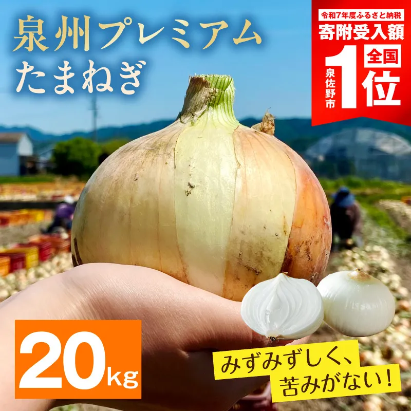 【8/20 受付終了】プレミアムたまねぎ 20kg【泉州 玉ねぎ タマネギ 玉葱 甘い 野菜 国産 オニオン サラダ カレー バーベキュー】 G3682-1