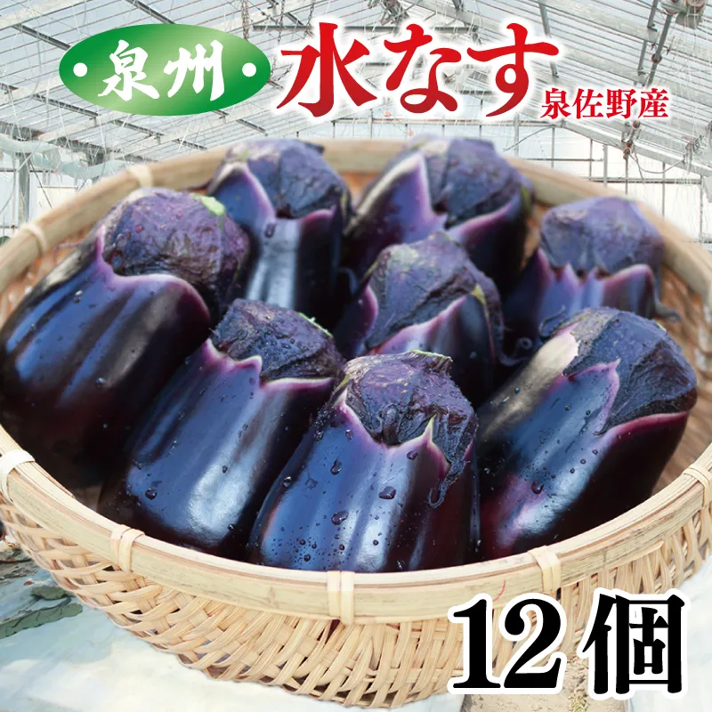 泉州 水なす 12個【ハウス栽培 新鮮 野菜 泉佐野産 茄子 数量限定】 010B1061