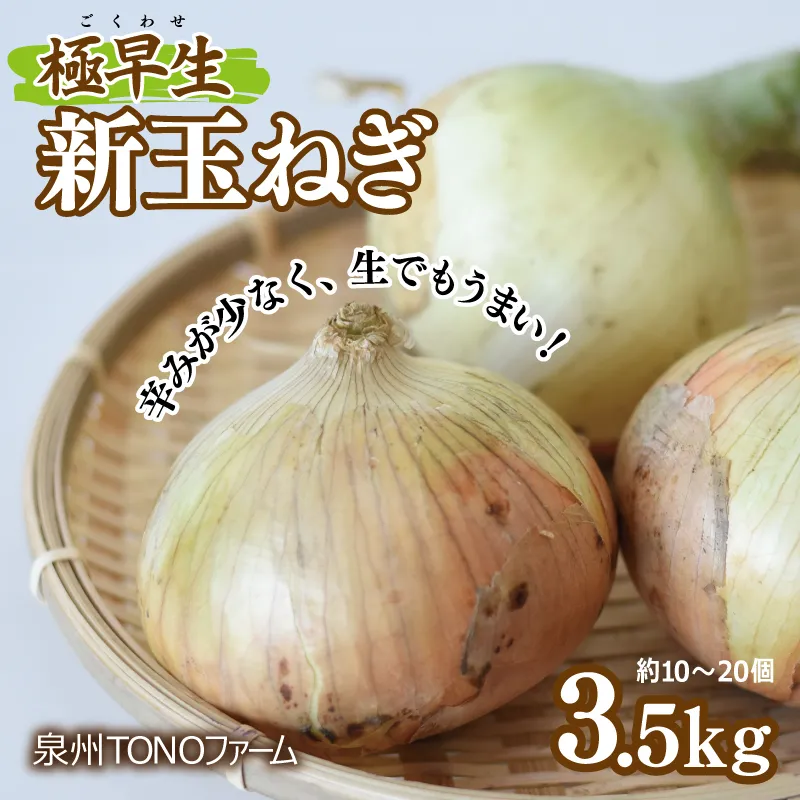 【先行予約】極早生 新たまねぎ 3.5kg【新鮮 野菜 泉佐野産 玉ねぎ 玉葱 やさい TONOファーム 数量限定 】 G1104