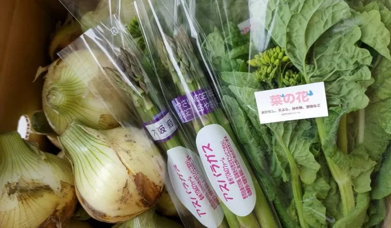 【先行予約】泉州TONOファーム厳選 春の野菜セット【新鮮 野菜 泉佐野産 やさい 数量限定 】 G1105