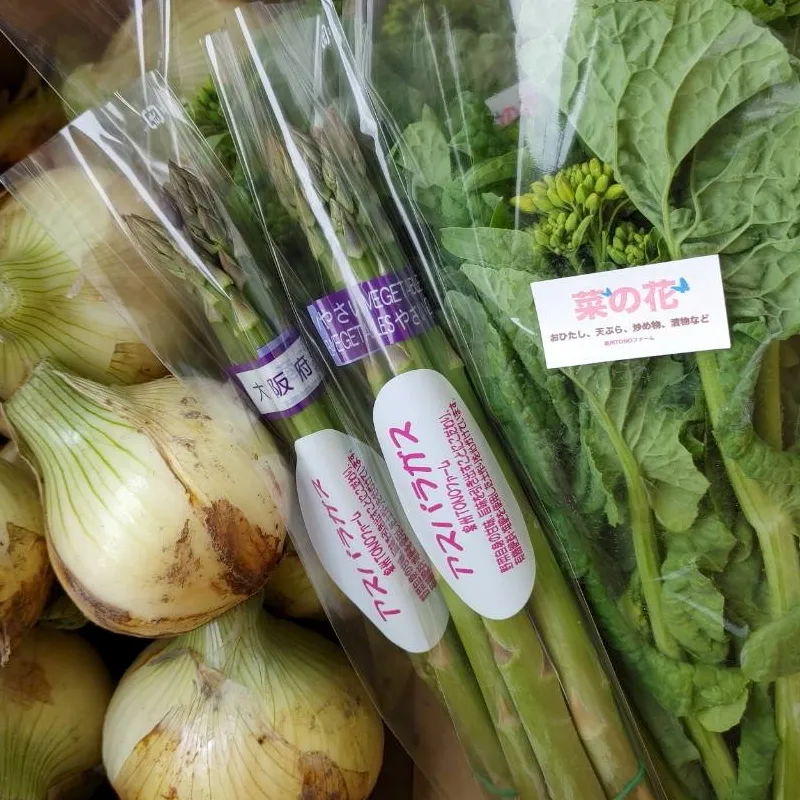 【先行予約】泉州TONOファーム厳選 春の野菜セット【新鮮 野菜 泉佐野産 やさい 数量限定 】 G1105