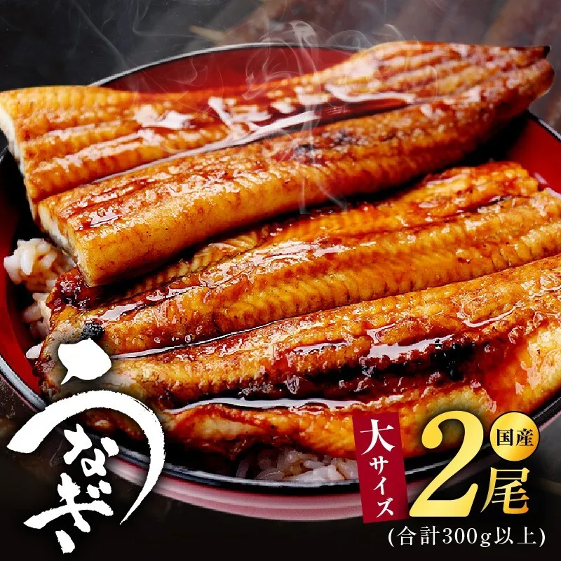 大サイズ 国産うなぎ 2尾 合計300g以上 G1849