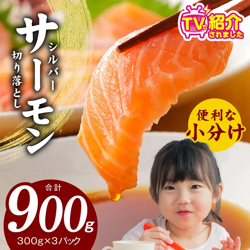 【TVで紹介！】サーモン 切り落とし 900g【小分け 300g×3 刺身 海鮮丼 サラダ カルパッチョ さーもん 訳あり サイズ不揃い 時短 簡単調理 冷凍】 010B1195