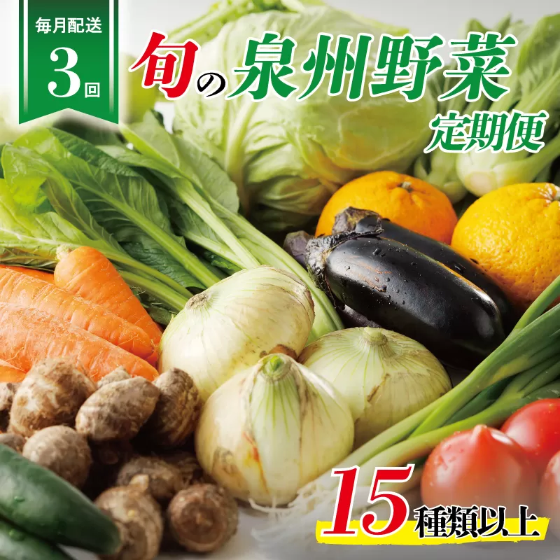 泉州野菜 定期便 15種類以上×全3回【毎月配送 国産 野菜 やさい 詰め合わせ セット 新鮮 旬 冷蔵発送 ええもん ていきびん】 099Z114