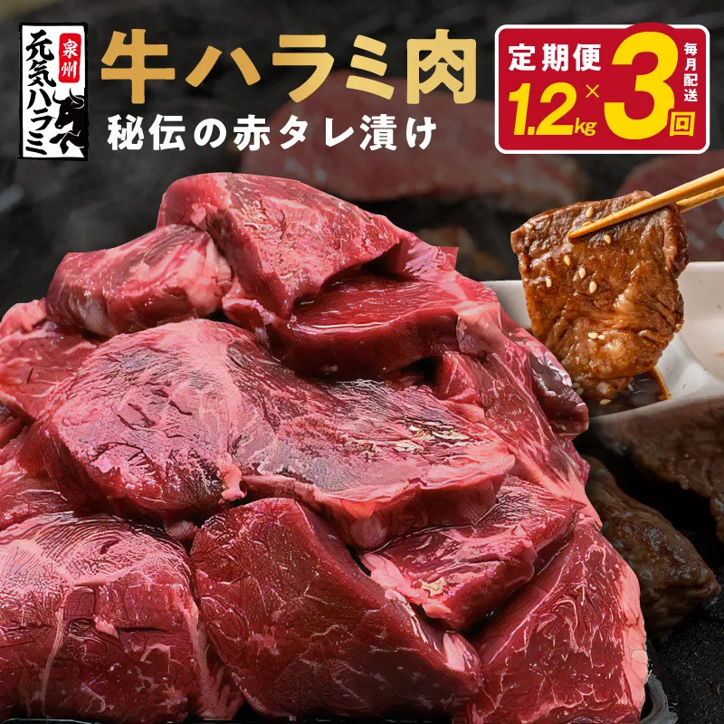 牛ハラミ 定期便 1.2kg 全3回【毎月配送コース 小分け 300g×4 味付き 牛肉 焼くだけ 小分け BBQ やきにく 数量限定】 G1812