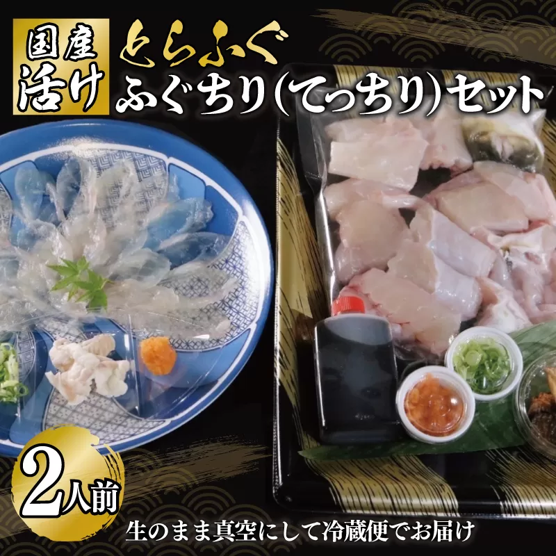 国産活け とらふぐ ふぐちり／ふぐ刺し セット 2人前【てっさ ふぐ フグ ぽん酢付 冷蔵 海鮮】 030D191