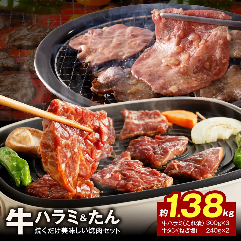大人気 ファミリー向け 焼肉セット 牛たん 牛ハラミ肉 合計1.38kg【牛肉 焼くだけ 小分け BBQ やきにく 数量限定】 099H3152