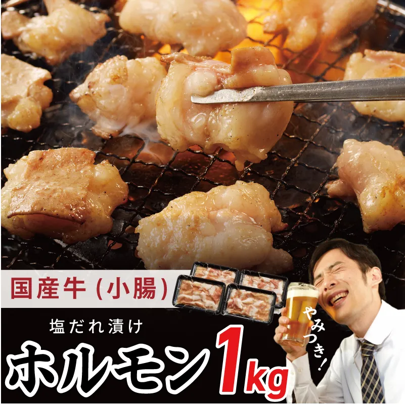 国産 牛肉 ホルモン 1kg 塩だれ漬け 焼肉用 小分け 250g×4P【牛肉 焼肉用 焼くだけ 小分け BBQ やきにく 数量限定】 G1762