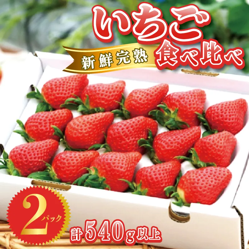 完熟新鮮 いちご 食べ比べ 2パック 合計540g以上 099H2854