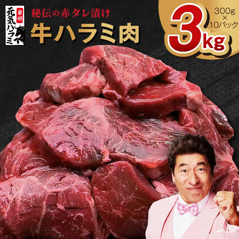 【TVで紹介！】牛ハラミ肉 3kg（300g×10）秘伝の赤タレ漬け 訳あり サイズ不揃い G1798