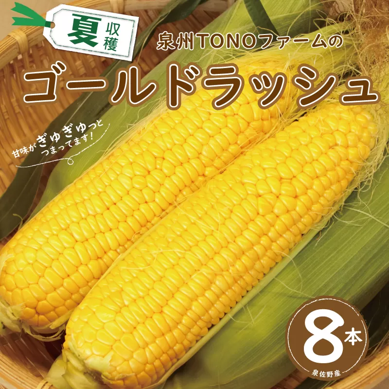ゴールドラッシュ 8本【新鮮 野菜 泉佐野産 とうもろこし コーン やさい TONOファーム 高評価 数量限定 先行予約】 G1101