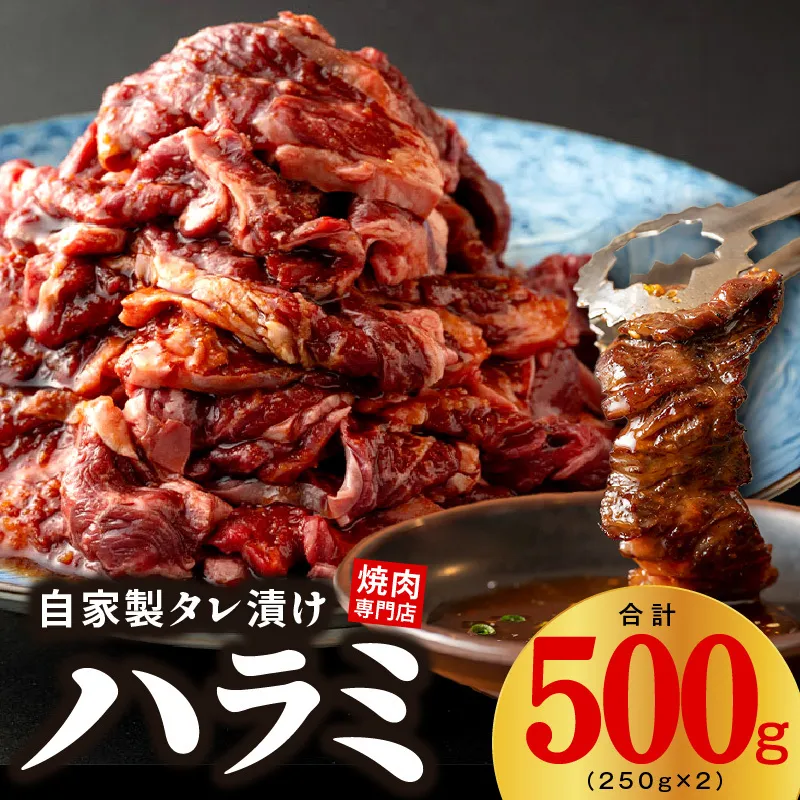 焼き肉専門店 自家製タレ漬け ハラミ 合計500g（250g×2） 099H3564
