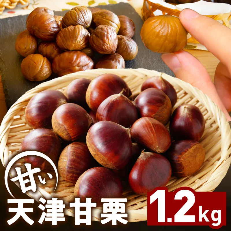 当店自慢の天津甘栗 1.2kg【小分け 400g×3P お菓子 おつまみ 人気 甘味料不使用】 099H2329