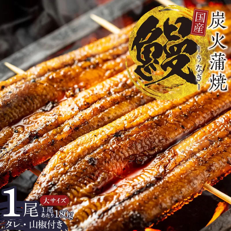 国産うなぎ 大サイズ 180g×1尾【タレ 山椒付き 有頭 炭火 蒲焼 鰻】 099H2332