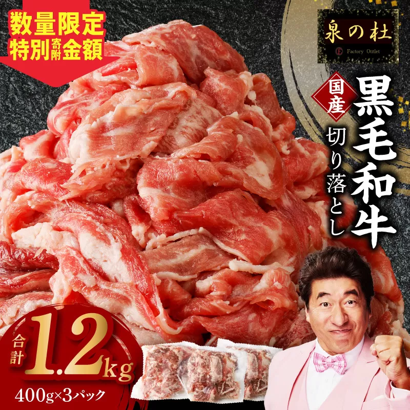 【3パック】味付け 黒毛和牛切り落とし 1.2kg 小分け 400g×3 訳あり 部位不揃い 特別寄附金額 CFX0005