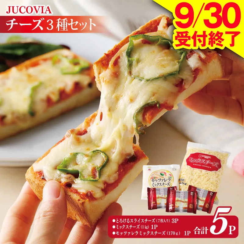 【9/30受付終了】人気チーズ 3種セット【ムラカワチーズ 食べ比べ 普段使い 高評価 ちーず】 010B1637