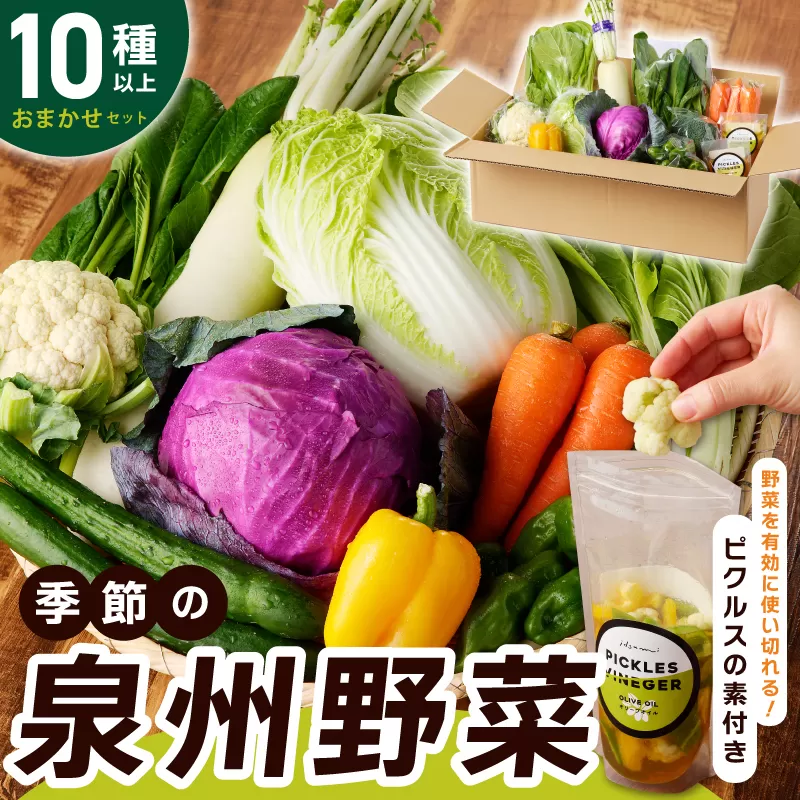 【スピード発送】季節の泉州野菜 10種 おまかせセット ピクルスの素 2袋付き いずみピクルス NSW 010B1544