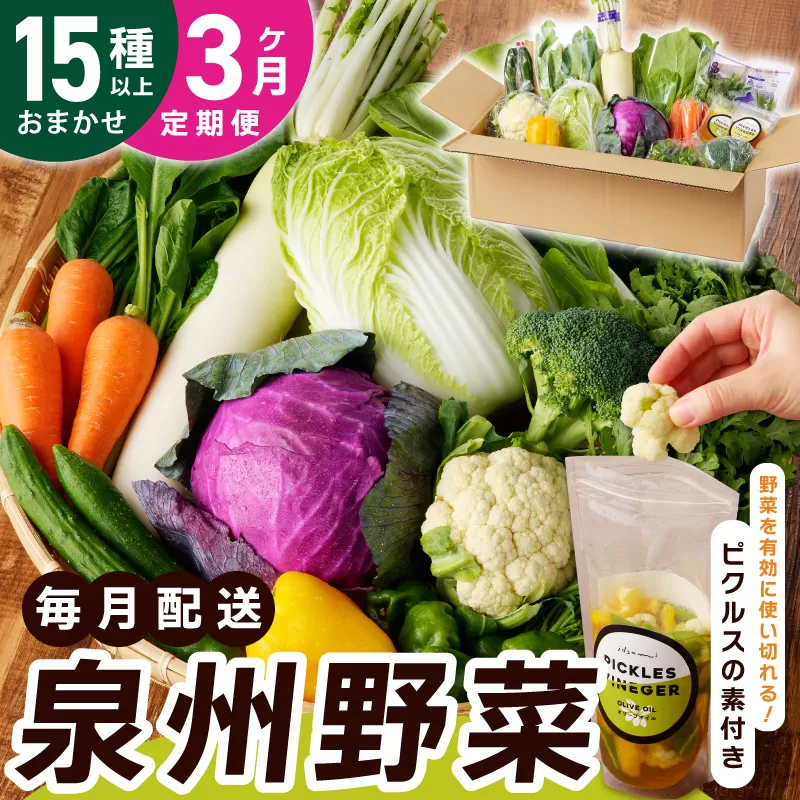 旬の新鮮 野菜セット（15種以上）定期便 全3回 おまかせ ピクルスの素付き ファミリー向け いずみピクルス NSW【毎月配送コース】 099Z278