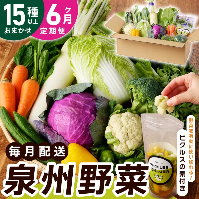 旬の新鮮 野菜セット（15種以上）定期便 全6回 おまかせ ピクルスの素付き ファミリー向け いずみピクルス NSW【毎月配送コース】 099Z280