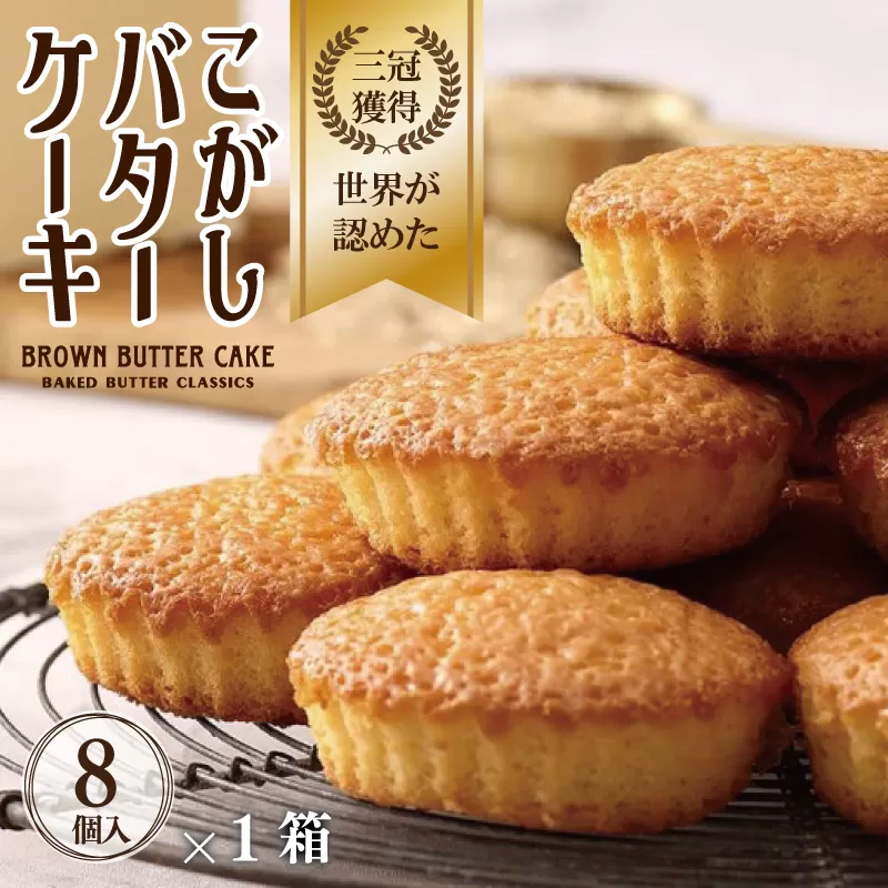 【明治25年創業】こがしバターケーキ 8個×1箱【スイーツ 洋菓子 工場直販 個包装 小分け 泉州名産 スピード発送】 005A677