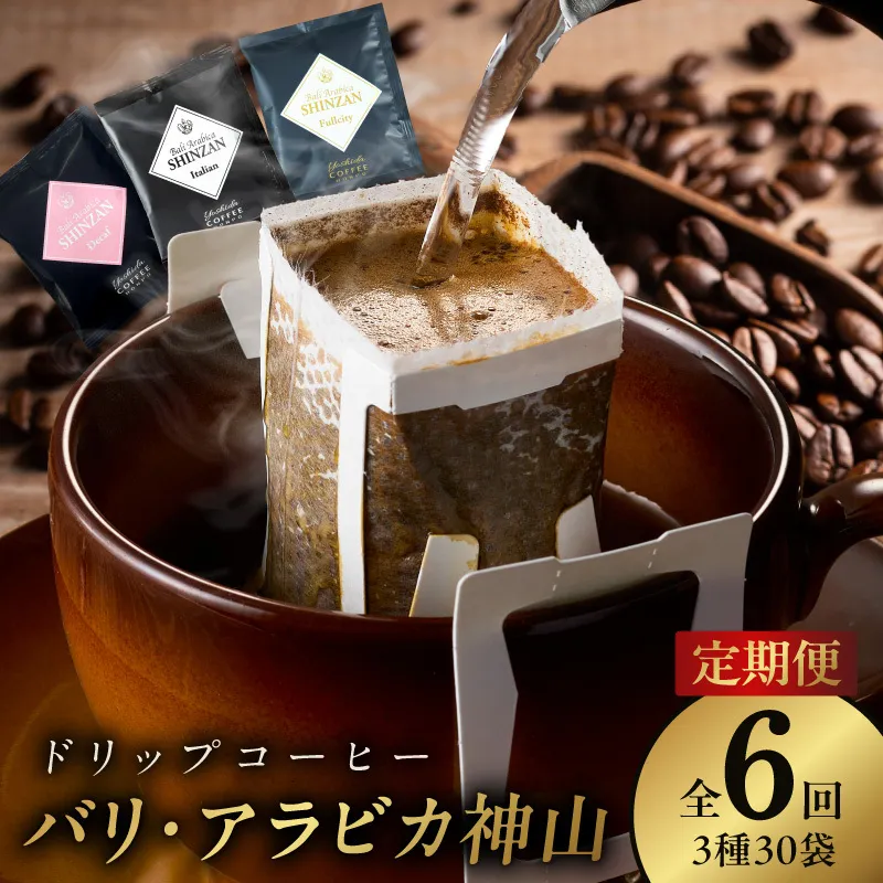 ドリップコーヒー バリ アラビカ神山 3種30袋 定期便 全6回【毎月配送コース 珈琲 こーひー コーヒー 自家焙煎 オリジナル ギフト キャンプ アウトドア 家計応援】 099Z147