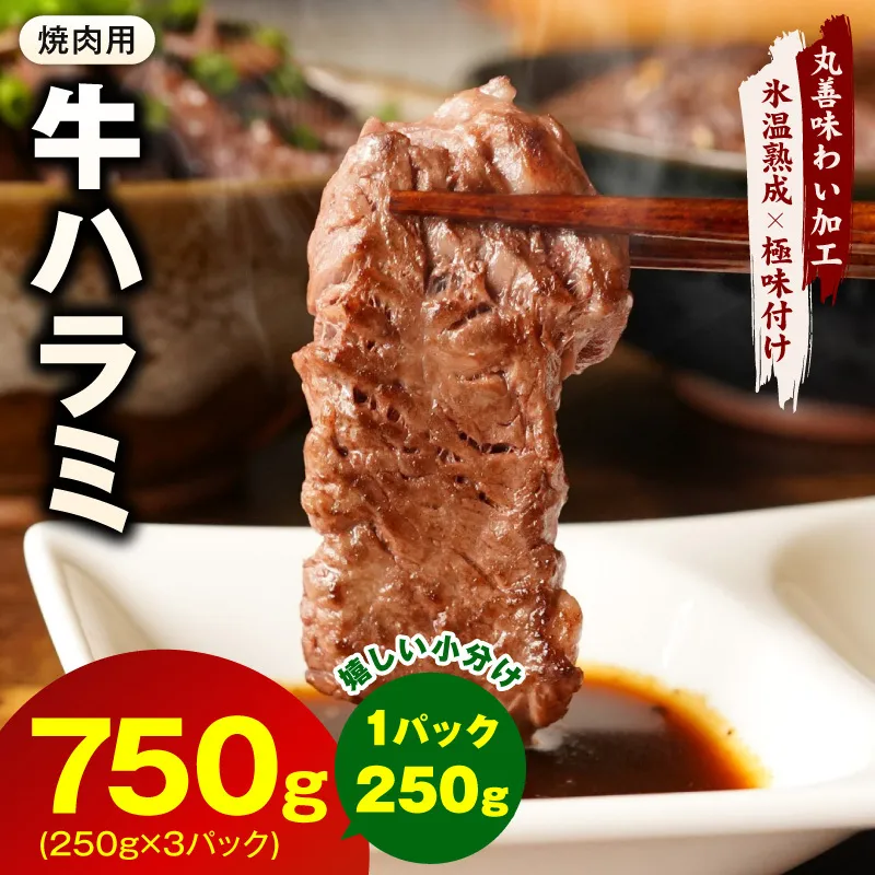 牛肉 ハラミ 750g 小分け 250g×3P[氷温熟成×極味付け 牛肉 訳あり 不揃い 焼肉 BBQ 野菜炒め 圧倒的企業努力] mrz0249-1