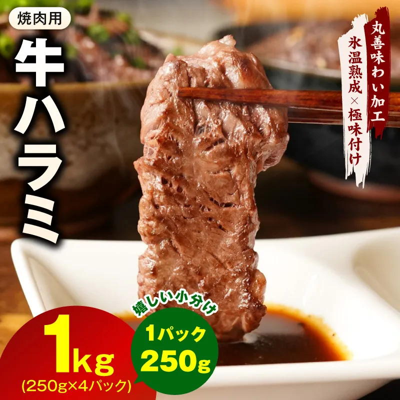 牛肉 ハラミ 1kg 小分け 250g×4P【氷温熟成×極味付け 味付き 牛肉 訳あり 不揃い 焼肉 BBQ 野菜炒め 圧倒的企業努力】 mrz0250-1