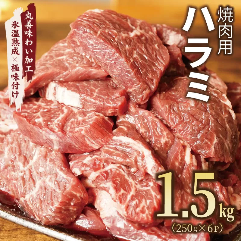 牛肉 ハラミ 1.5kg 小分け 250g×6P【氷温熟成×極味付け 牛肉 訳あり 不揃い 焼肉 BBQ 野菜炒め】 mrz0022