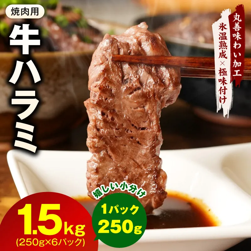 牛肉 ハラミ 1.5kg 小分け 250g×6P【氷温熟成×極味付け 牛肉 訳あり 不揃い 焼肉 BBQ 野菜炒め】 mrz0251