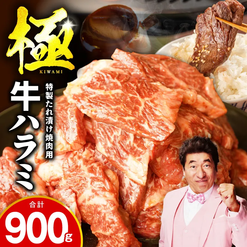 牛肉 ハラミ 900g 小分け 300g×3P【氷温熟成×特製ダレ 味付き 牛肉 訳あり 不揃い 焼肉 BBQ 野菜炒め】 mrz0026