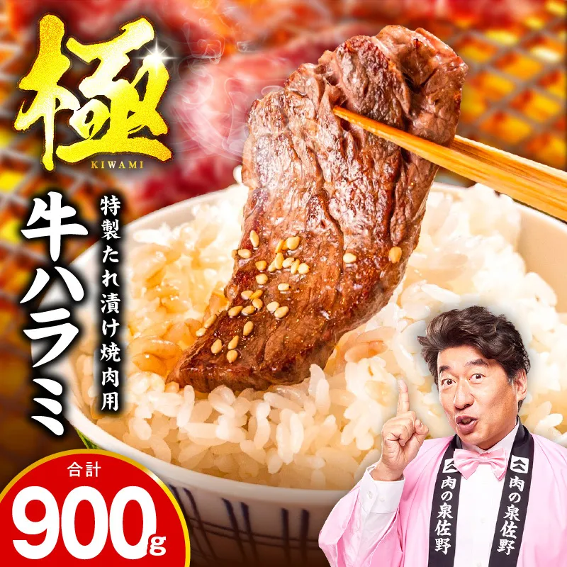 牛肉 ハラミ 900g 小分け 300g×3P【氷温熟成×特製ダレ 味付き 牛肉 訳あり 不揃い 焼肉 BBQ 野菜炒め】 mrz0422