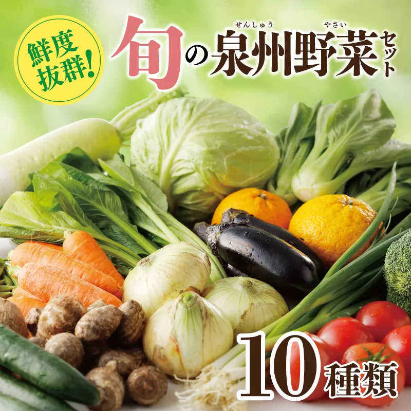 【スピード発送】 新鮮 野菜セット 10種類【国産 新鮮 おまかせ お楽しみ 旬 詰め合わせ 泉州野菜】 099H2491