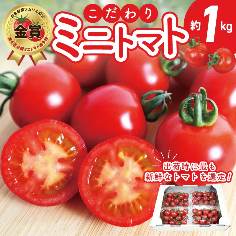 【先行予約】こだわり ミニトマト 4パック 合計 約1kg【選手権 金賞受賞 日本野菜ソムリエ協会 新鮮 野菜 泉佐野産 とまと やさい 高評価 数量限定】 G3702