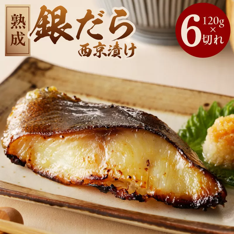 熟成 銀鱈 西京漬け 120g×6切れ 099H2549