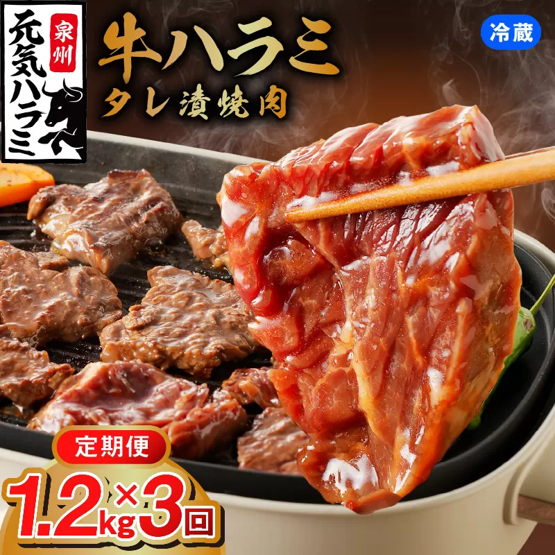 【冷蔵配送】牛ハラミ肉 1.2kg×全3回【毎月配送コース お楽しみ 焼肉 ていきびん 小分け 味付け 焼くだけ 小分け BBQ やきにく 数量限定】 099Z270