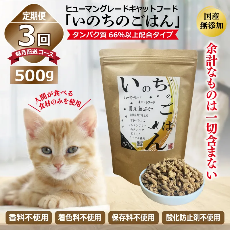 【定期便】国産無添加 キャットフード 500g×全3回「いのちのごはん」タンパク質 66％以上配合タイプ【猫 ねこ ペットフード チキン 手作り ヒューマングレード 国産 毎月配送】 099Z329