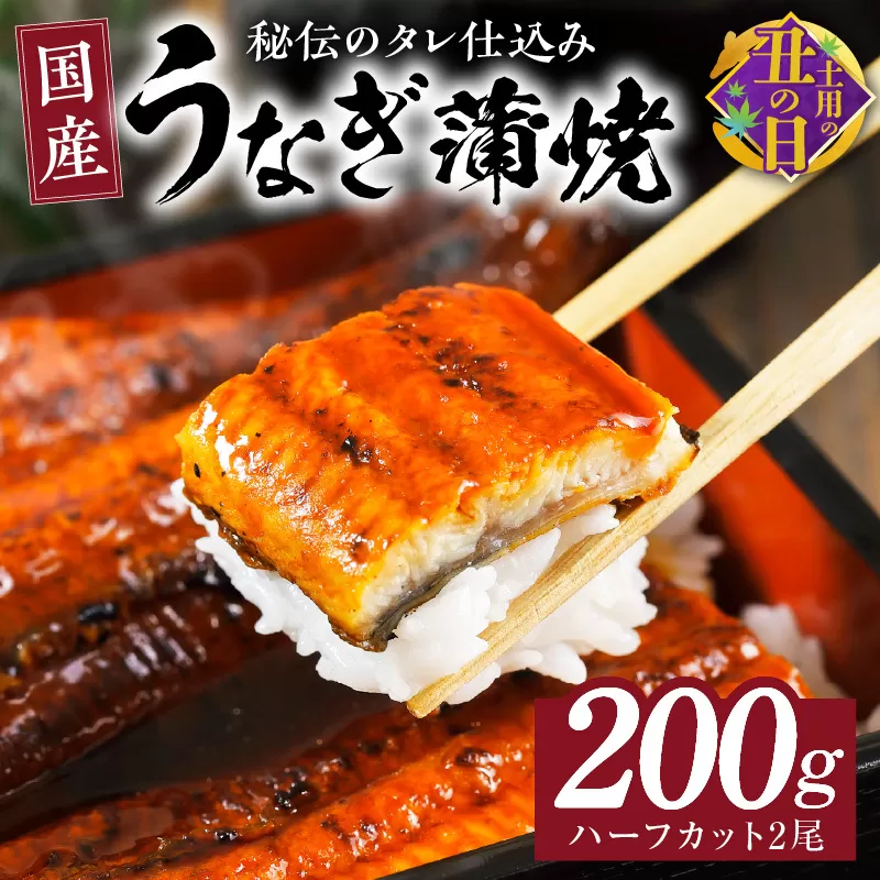 【7/19土用の丑の日】国産うなぎ ハーフカット 合計 200g 秘伝のたれ 蒲焼 訳あり 鰻 ウナギ 無頭 炭火焼き 備長炭 手焼き 先行予約 099H2639c