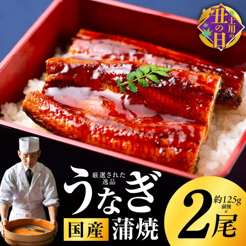 【7/19土用の丑の日】国産うなぎ 約125g×2尾 秘伝のたれ 蒲焼 鰻 ウナギ 有頭 炭火焼き 備長炭 手焼き 先行予約 099H2641c