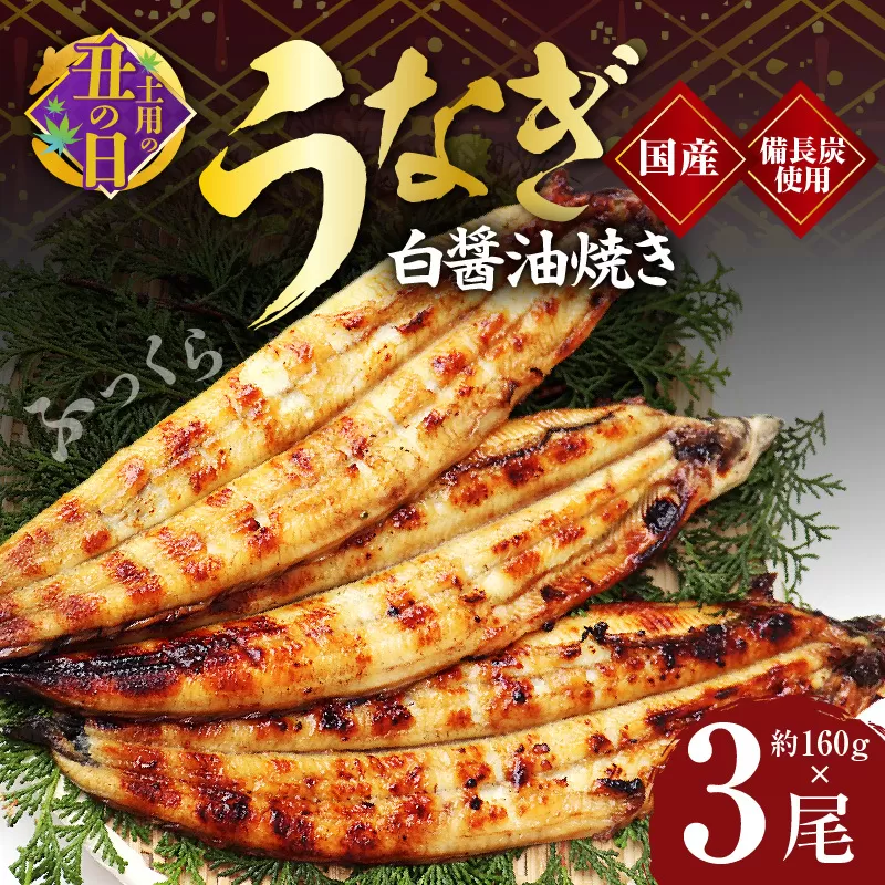 【7/19土用の丑の日】国産 うなぎ白醤油焼き3尾 せいろ蒸し 備長炭仕上げ 先行予約 099H2644c