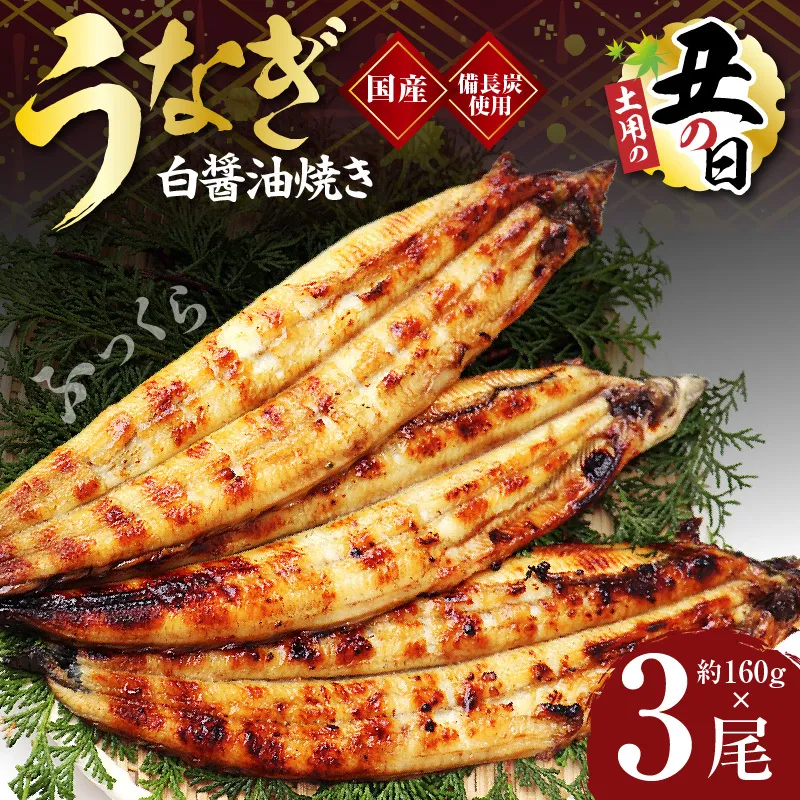 【土用の丑の日までにお届け】国産うなぎ 白醤油焼き 合計480g【160g×3尾 せいろ蒸し 備長炭 鰻 ウナギ 手焼き レンジ 温めるだけ 簡単調理】 kgp0042-1d