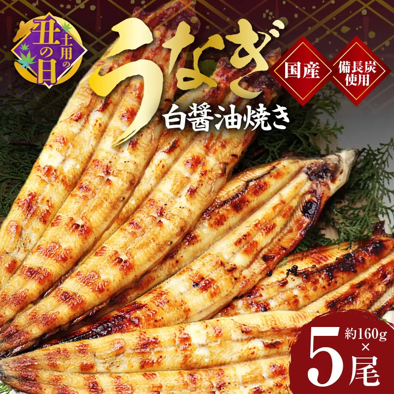 【7/19土用の丑の日】国産 うなぎ白醤油焼き5尾 せいろ蒸し備長炭仕上げ 先行予約 099H2645c