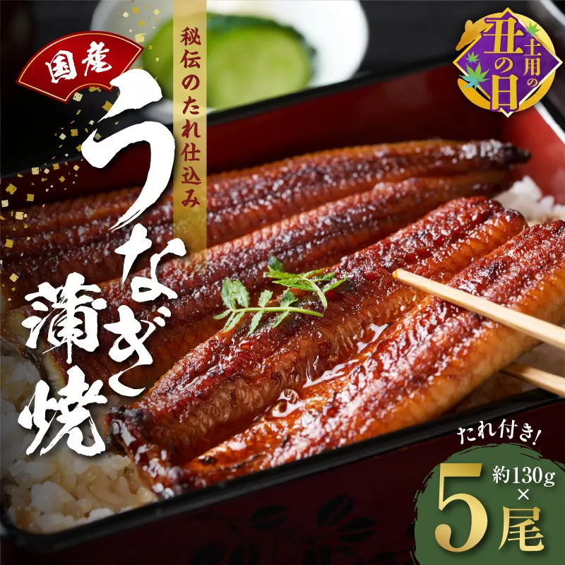 【7/19土用の丑の日】国産うなぎ 約130g×5尾  秘伝のたれ 蒲焼 鰻 ウナギ 無頭 炭火焼き 備長炭 手焼き 先行予約 099H2649c