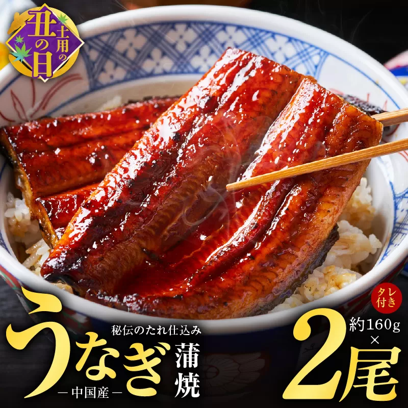 【7/19土用の丑の日】秘伝のたれ仕込み うなぎ蒲焼 合計 320g（約160g×2尾）鰻 ウナギ 中国産 温めるだけ 簡単 レンジ調理 ふっくらふわふわ 炭火焼き 備長炭 手焼き 先行予約 099H856c