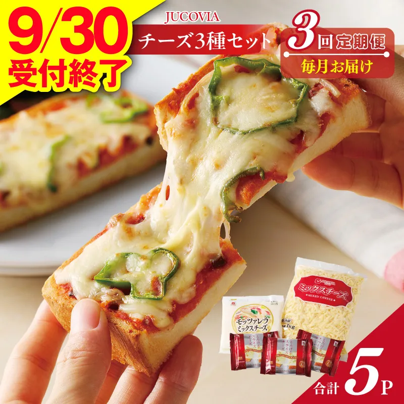 【9/30受付終了】人気チーズ 定期便 3種セット×全3回 ムラカワチーズ【毎月配送 普段使い 高評価 ちーず】 099Z183