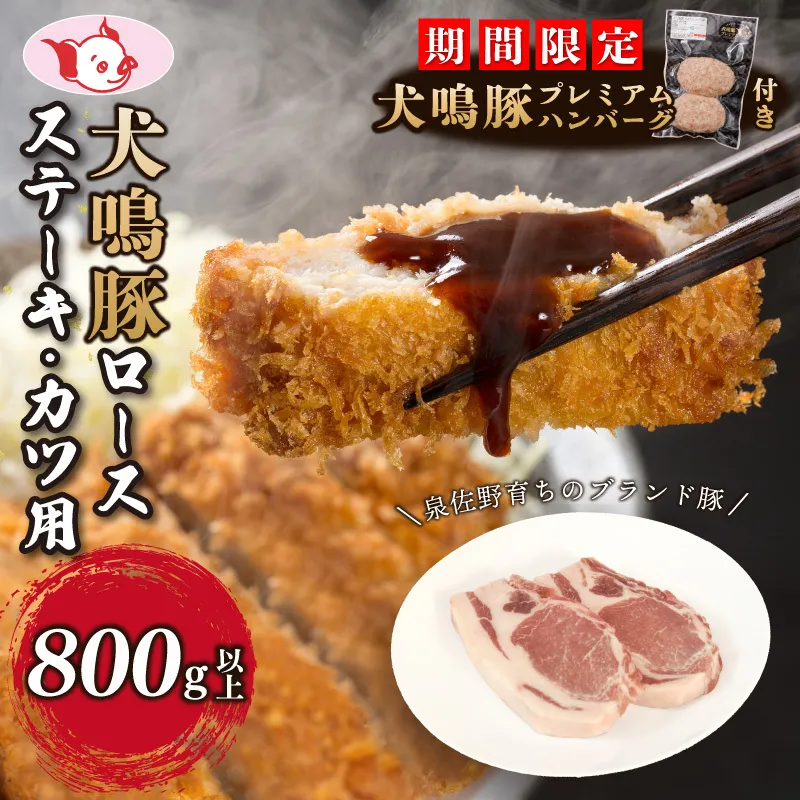 【期間限定】犬鳴豚 ロースステーキ  カツ用 800g以上＋手作りプレミアムハンバーグ（2個入り）【国産 豚肉 泉佐野ブランド豚 犬鳴ポーク】 010B1426-1
