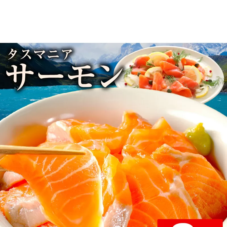 タスマニアサーモン 2kg【アトランティクサーモン 真空パック 小分け ブロック 訳あり サイズ不揃い 上質 刺身 海鮮丼 サラダ 総量 1kg以上 冷凍 物価高応援】 099H3125